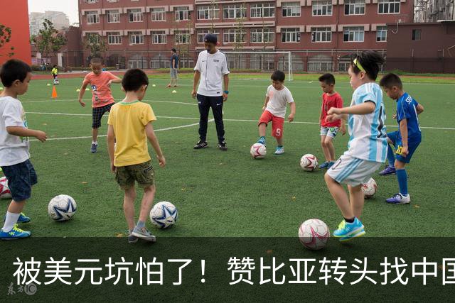 被美元坑怕了！赞比亚转头找中国：铜矿换人民币，这买卖划算！